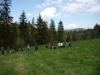 small_p5110981_sadzeniedrzew2010_t1.jpg